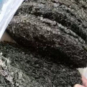 紫菜圆饼紫菜！散装！厂家直销！大量供应价格实惠
