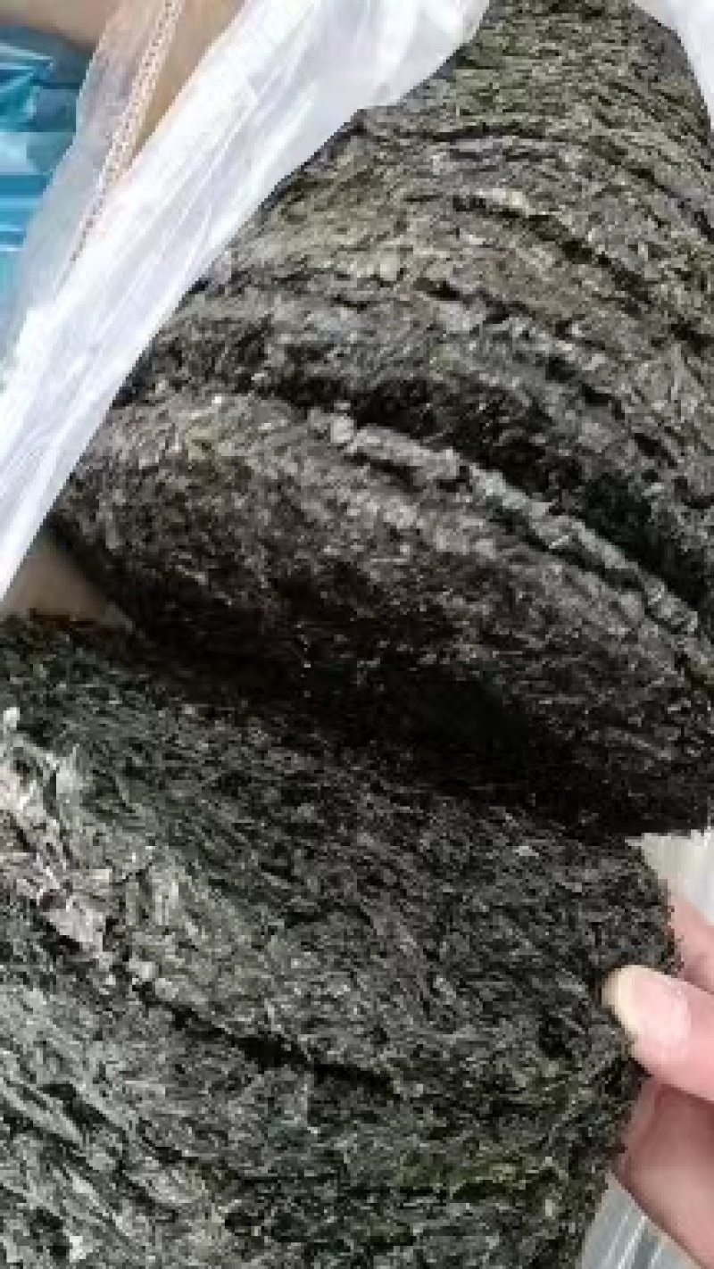 紫菜圆饼紫菜！散装！厂家直销！大量供应价格实惠