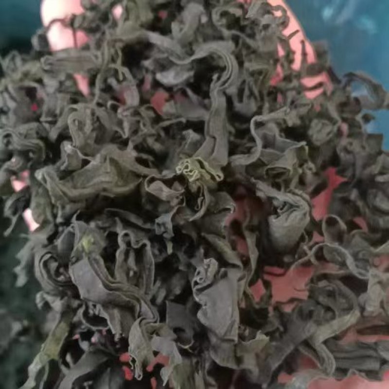 裙带菜！L号卷曲！高质量！泡发率高！