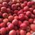冷库红富士苹果大量出售，纸袋、膜袋，全国发货，货源充足