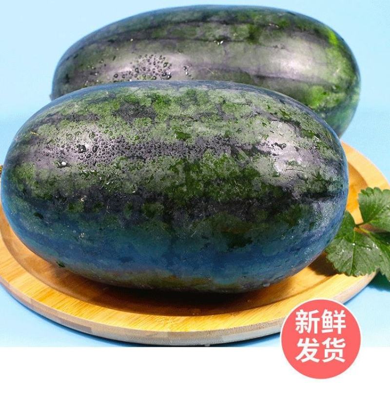 黑美人西瓜可供货电商市场通货量大从优质量三包