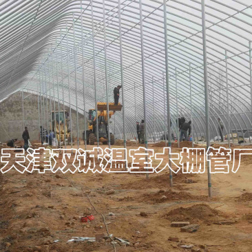 一面坡温室大棚