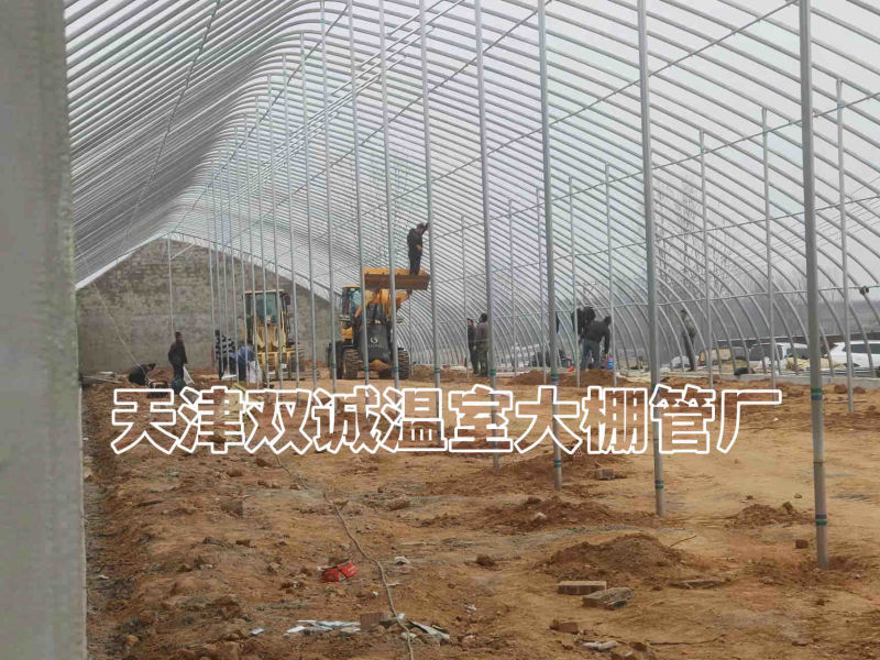 一面坡温室大棚