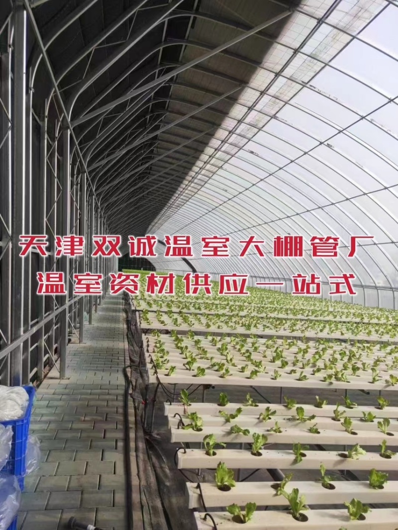一面坡温室大棚