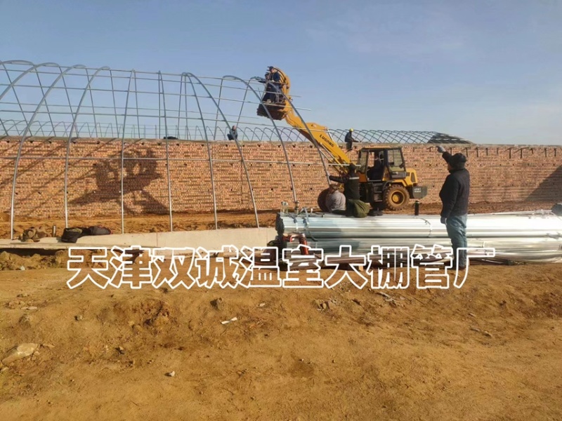 一面坡温室大棚