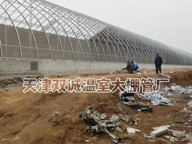一面坡温室大棚