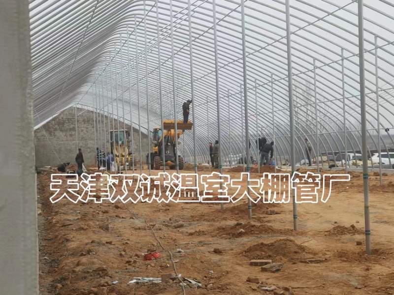 一面坡温室大棚
