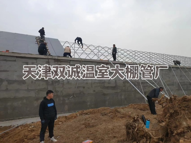 一面坡温室大棚