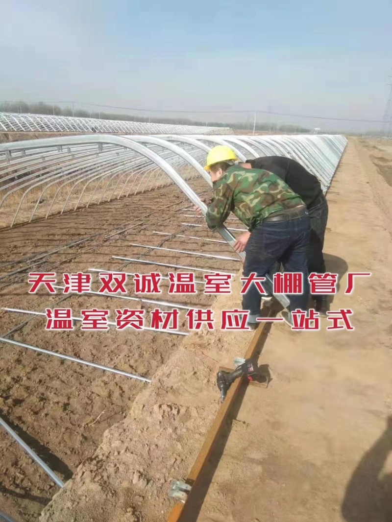 一面坡温室大棚