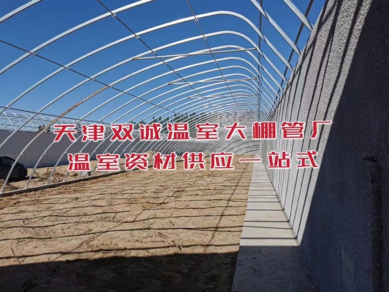 一面坡温室大棚