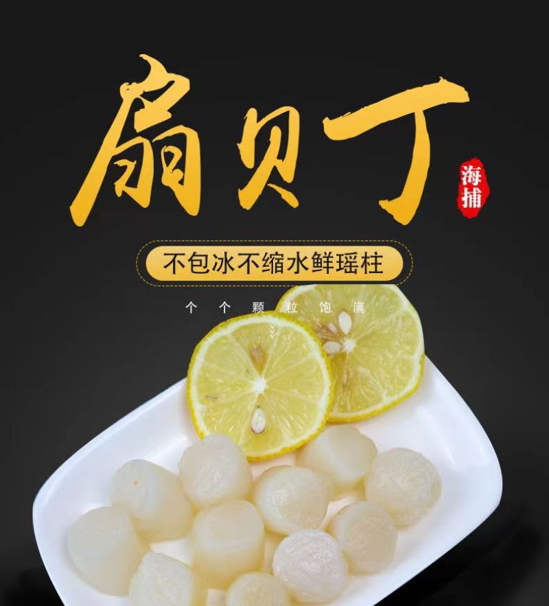 新鲜速冻新鲜扇贝柱冷冻元贝柱瑶柱扇贝丁海鲜批发零售