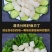 新鲜速冻新鲜扇贝柱冷冻元贝柱瑶柱扇贝丁海鲜批发零售