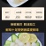 新鲜速冻新鲜扇贝柱冷冻元贝柱瑶柱扇贝丁海鲜批发零售