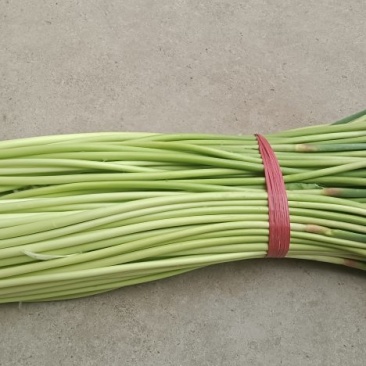 红帽蒜苔大量有货需要的老板联系