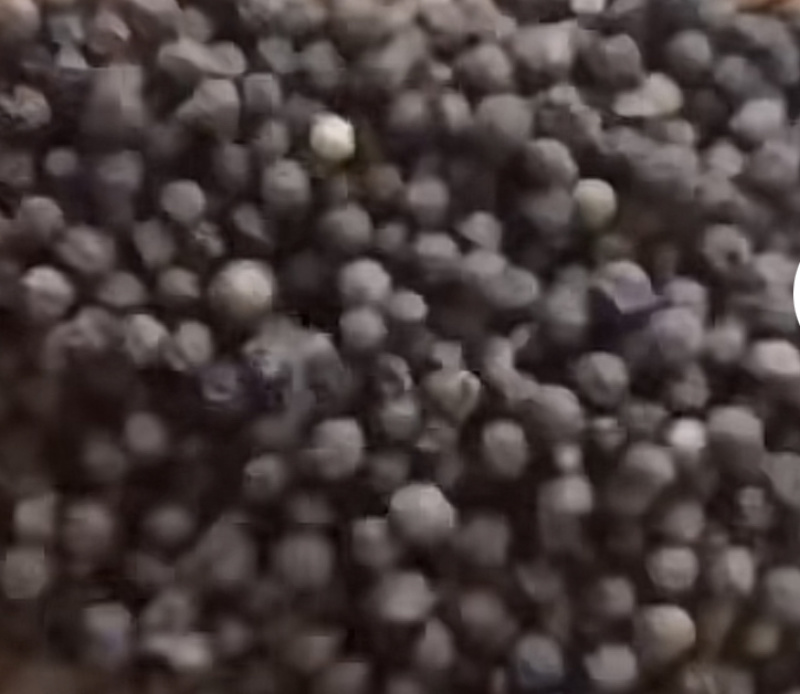 黑胡椒越南直发