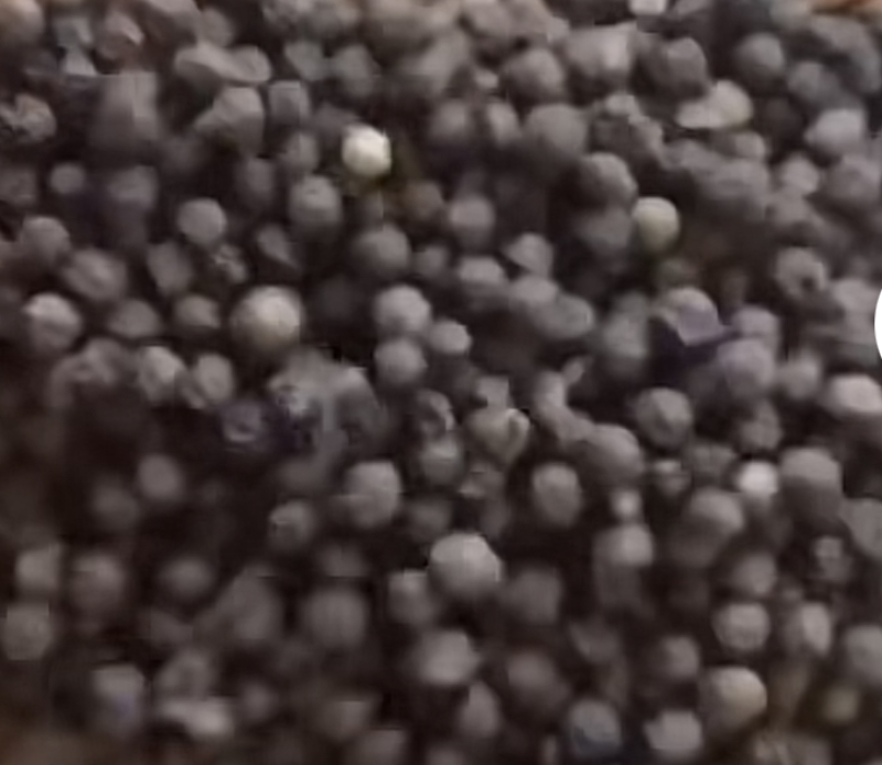 黑胡椒越南直发