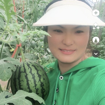 2k西瓜，2025春季小糖丸手掰瓜，山东西瓜，潍坊西瓜