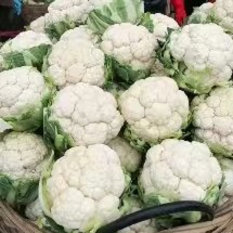 精品，菜花