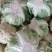精品，菜花