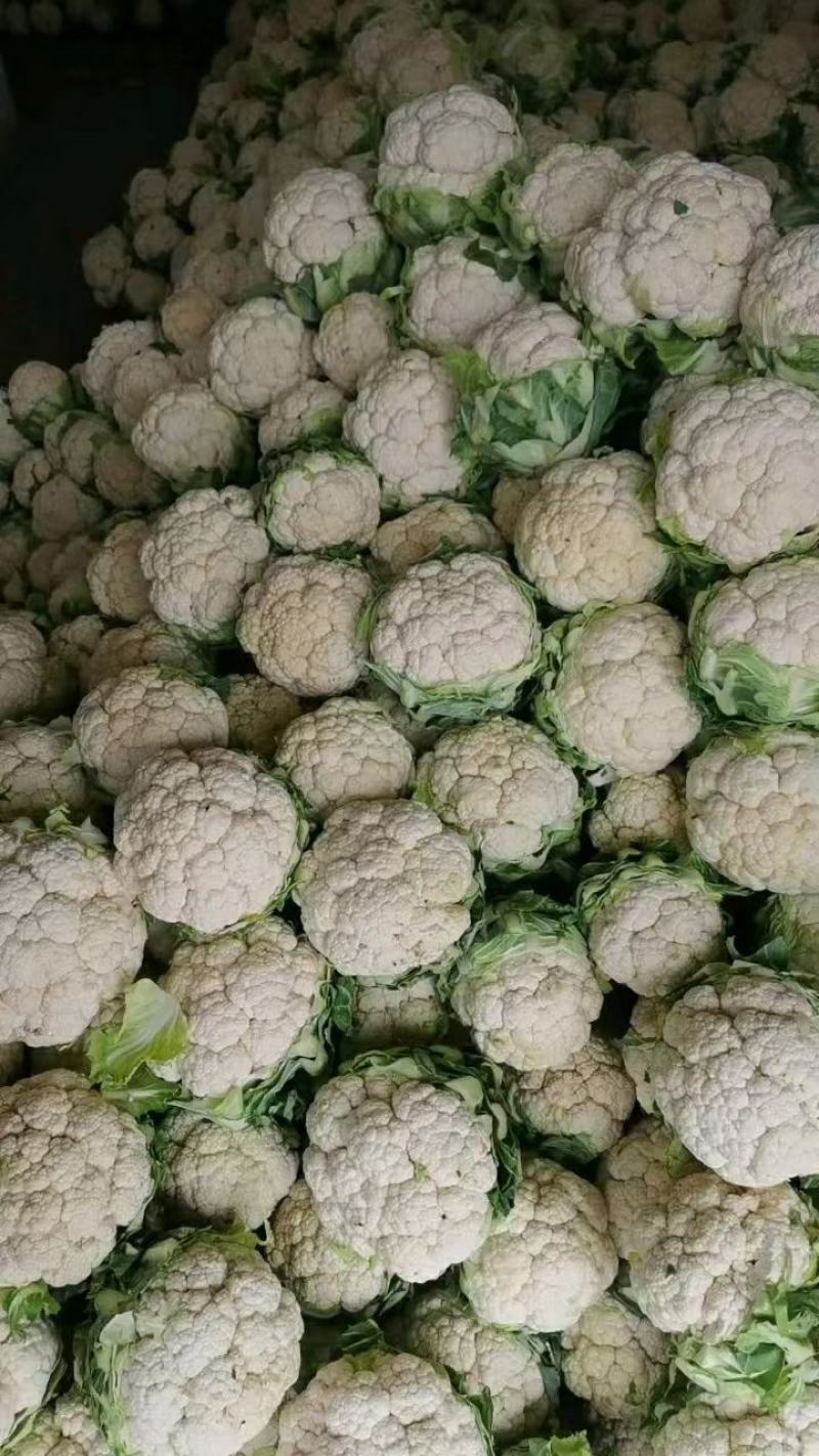 精品，菜花