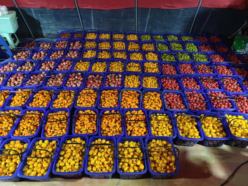 圣女果与健康饮食搭配示意图