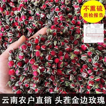 金边玫瑰花玫瑰花茶批发