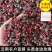 金边玫瑰花玫瑰花茶批发