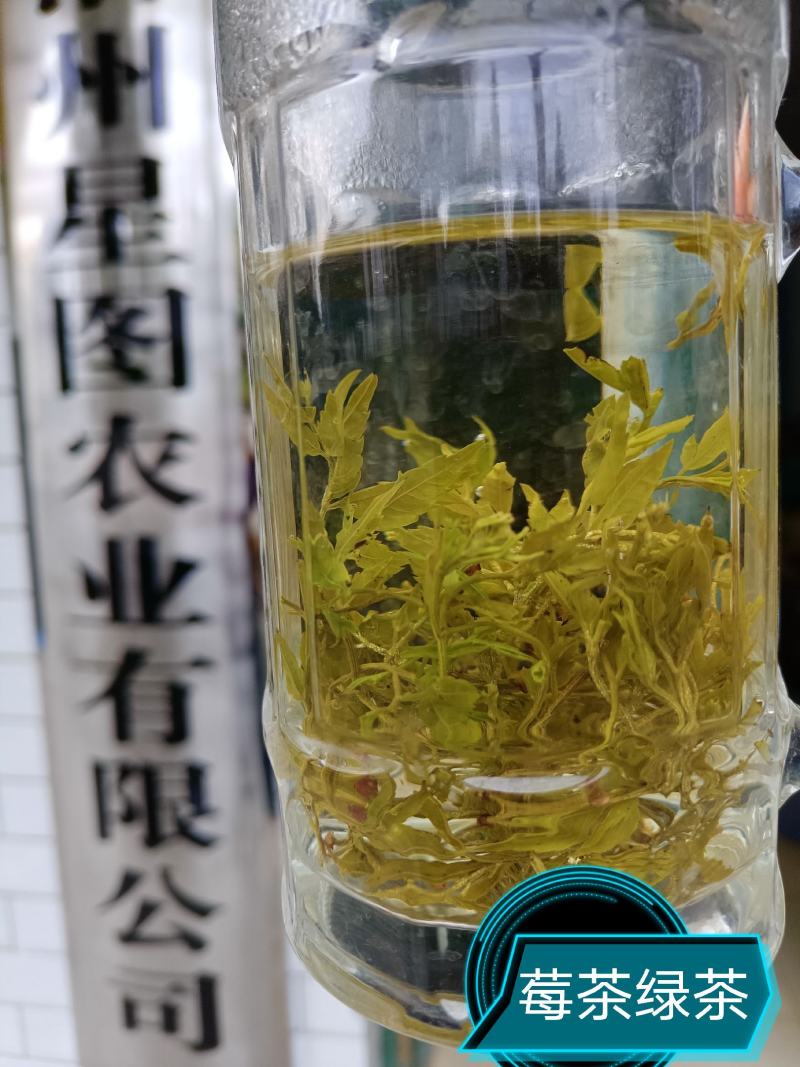 永顺莓茶