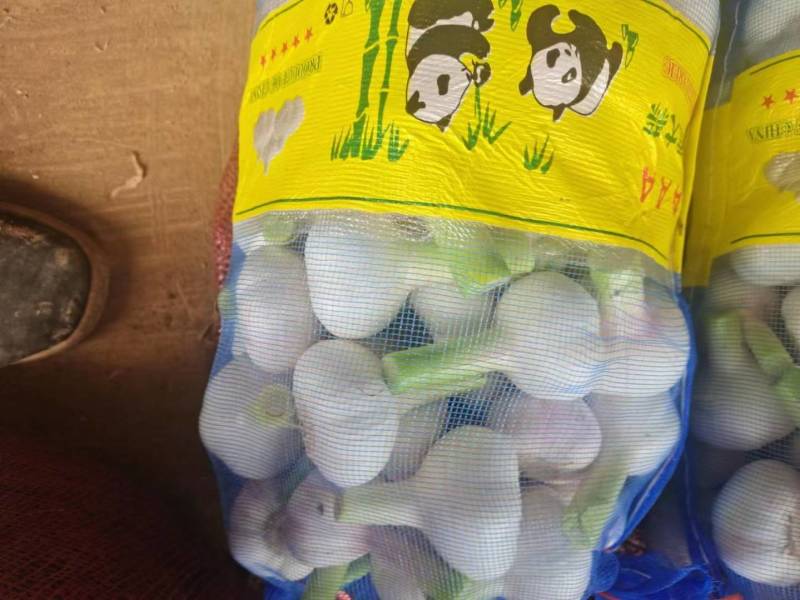 杞县早熟蒜，扒皮蒜，土蒜