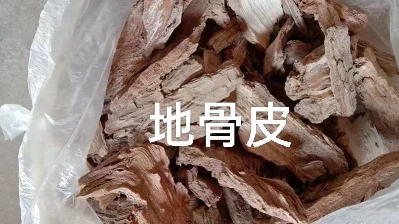 地骨皮统货产地宁夏，自然晾干无熏无硫，对接药店药厂