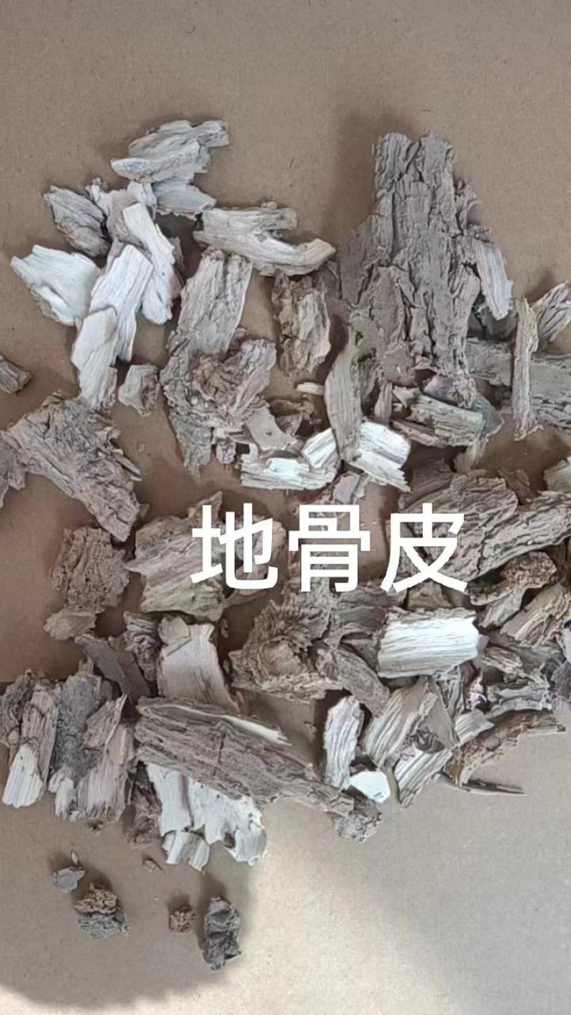 地骨皮统货产地宁夏，自然晾干无熏无硫，对接药店药厂