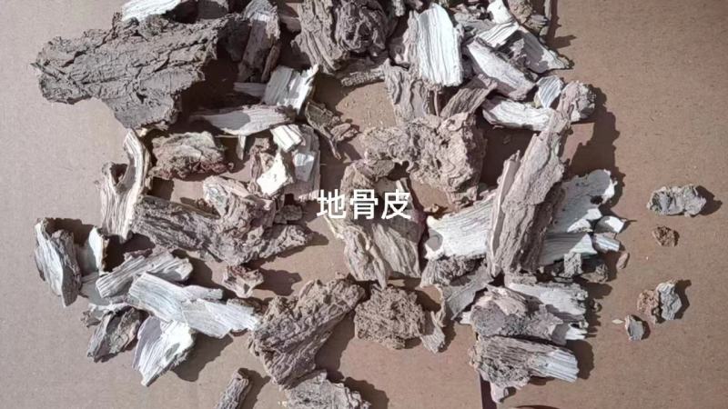地骨皮统货产地宁夏，自然晾干无熏无硫，对接药店药厂