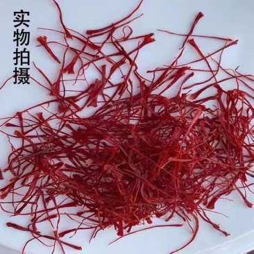 伊朗藏红花一朵花只有三颗蕊可用，头茬花，对接药店药厂