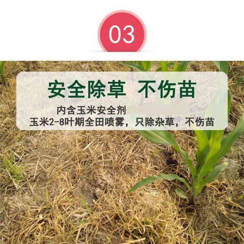 硝磺莠去津甜玉米糯玉米苗后除草效果好280毫升