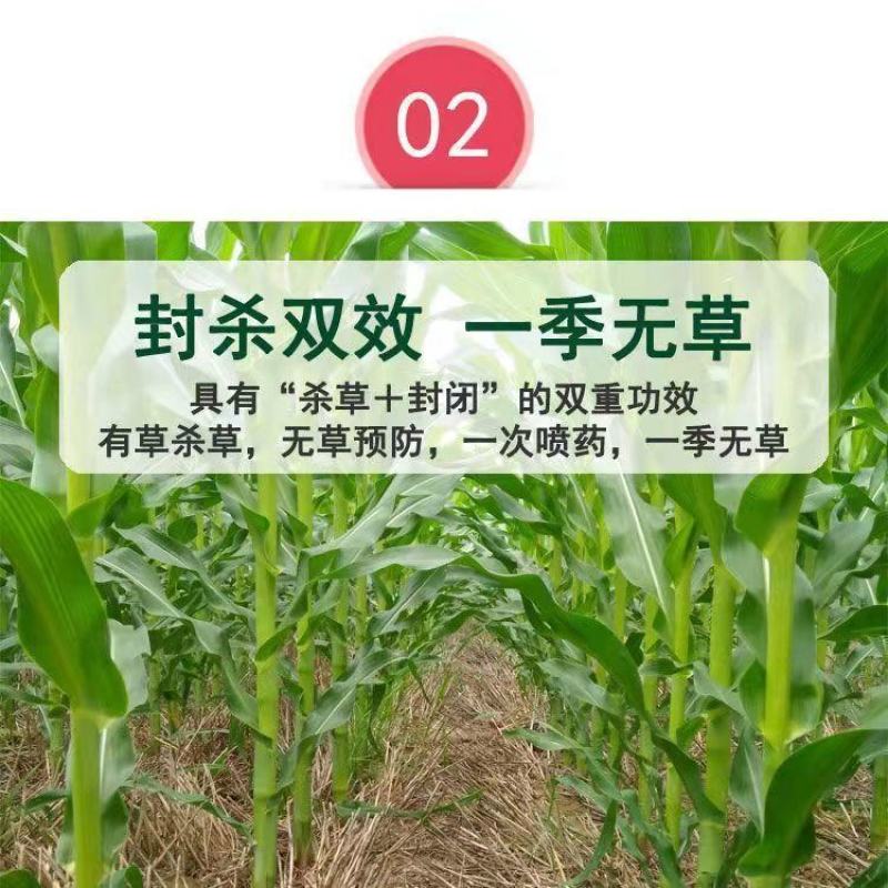 硝磺莠去津甜玉米糯玉米苗后除草效果好280毫升