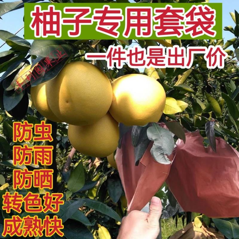 柚子套袋专用蜜柚早熟单层双层三层套袋防水防晒防虫水果套袋