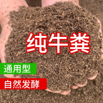 河南有机牛粪自然发酵品质保证诚信经营欢迎联系