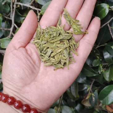 茶叶