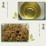 湖南衡阳野生藤茶嫩芽芽尖茶，大量有货欢迎各位老板前来采购