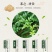 湖南野生藤茶莓茶中档茶细叶无粗梗，大量有货