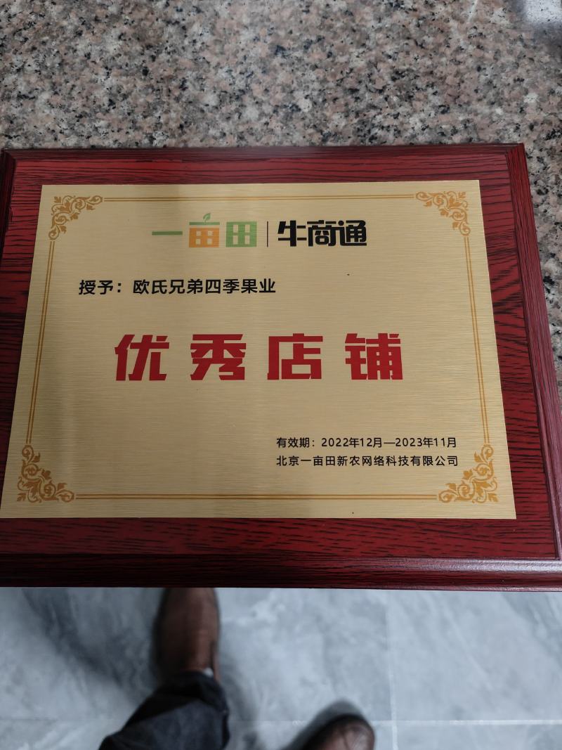 西柚三红葡萄柚西柚红宝石葡萄柚红葡萄柚