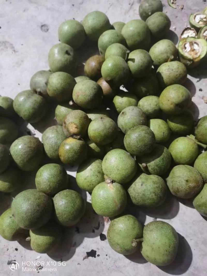 四川核桃青皮核桃一手货源基地直发货源充足