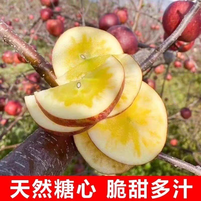 四川大凉山苹果丑苹果一手货源产地直发大量供应