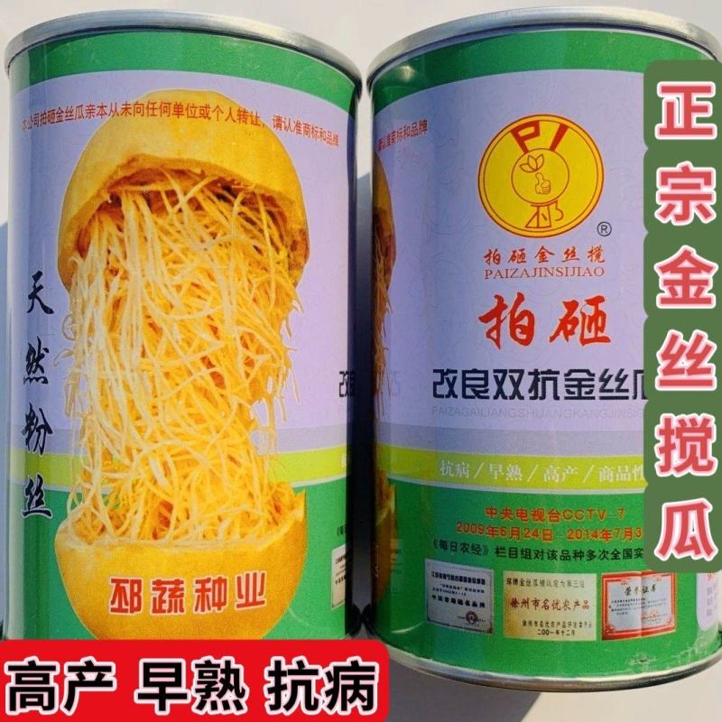 金丝绞瓜种子南瓜种子高产粉丝瓜种子四季阳台盆栽搅瓜种子