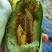 【精品】博洋61甜瓜山东羊角蜜甜瓜各种规格随行就市