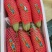 【精品】博洋61甜瓜山东羊角蜜甜瓜各种规格随行就市
