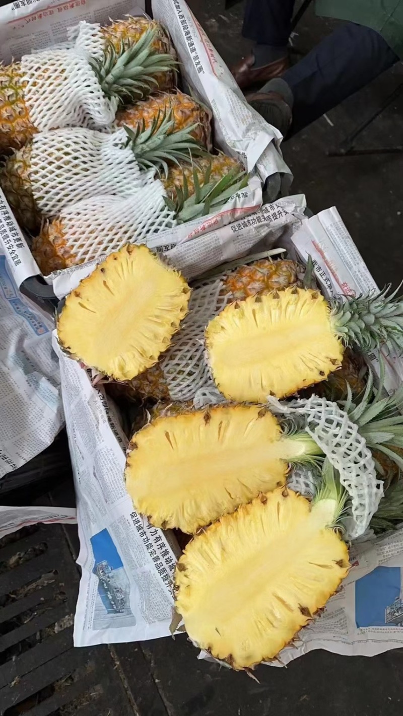 菠萝，徐闻菠萝，海南菠萝，香水菠萝，品质至优