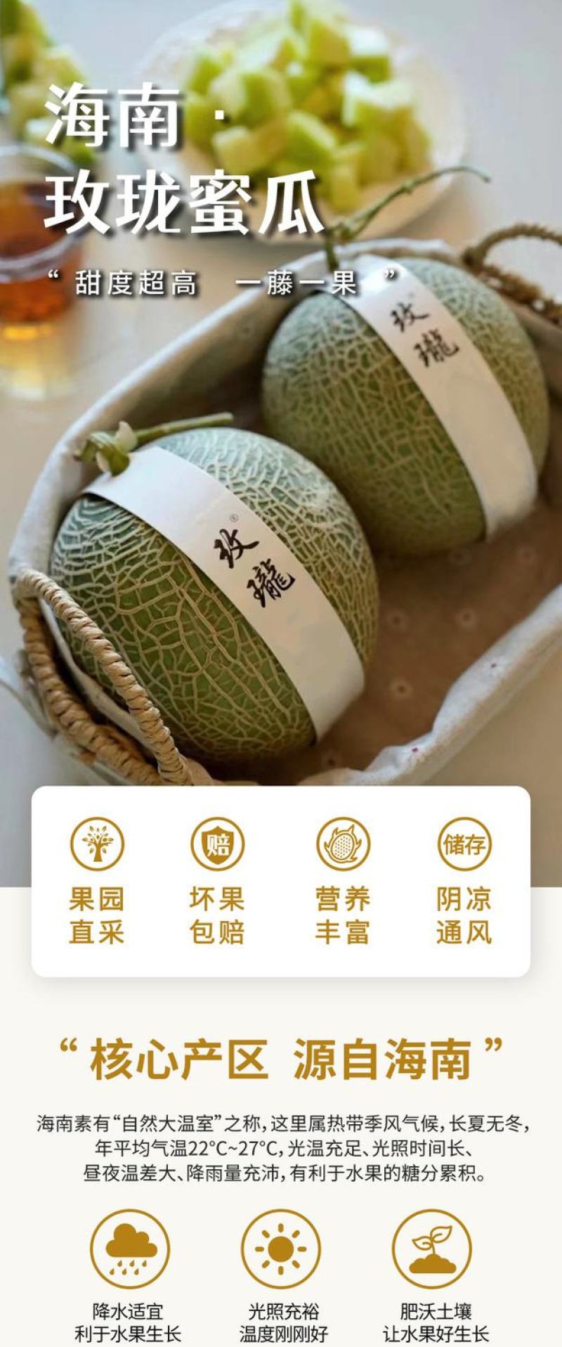 海阳网纹瓜蜜瓜山东鲁厚甜海南玫珑瓜一件代发电商抖音团购