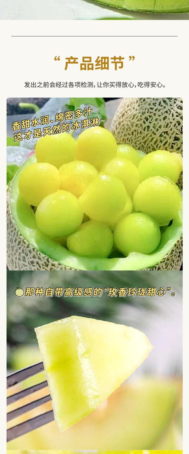 海阳网纹瓜蜜瓜山东鲁厚甜海南玫珑瓜一件代发电商抖音团购