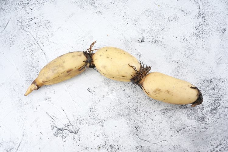 白莲藕的图片大全 - 新鲜白莲藕整体外观